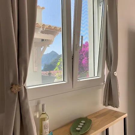 Vicky's Panoramic View Πέλεκας