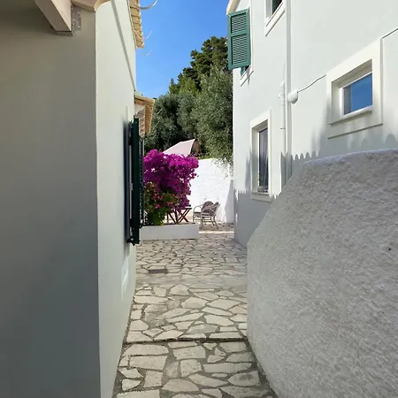 Vicky's Panoramic View