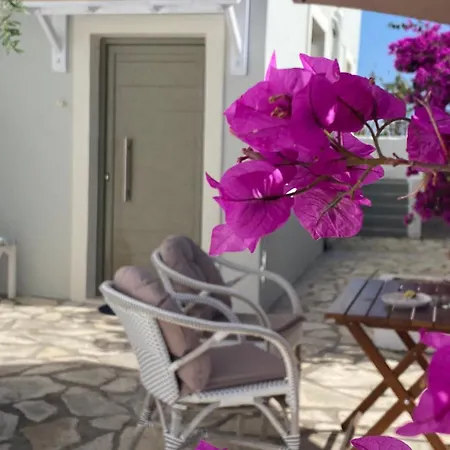 Vicky's Panoramic View