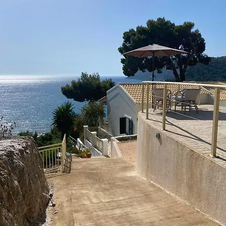 Vicky's Panoramic View * Πέλεκας