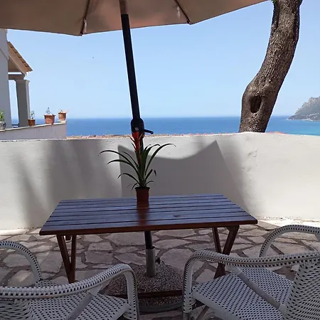 Vicky's Panoramic View