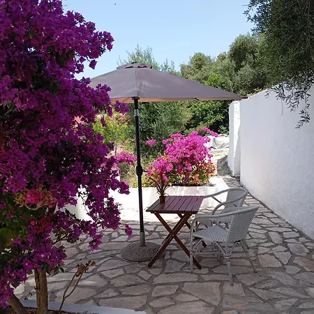 Διαμέρισμα Vicky's Panoramic View *