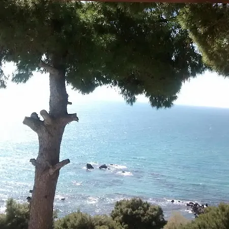 Vicky's Panoramic View *