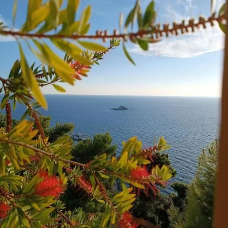 Vicky's Panoramic View شقة *