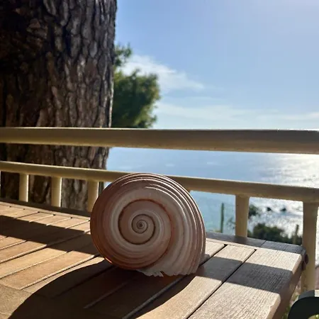Vicky's Panoramic View