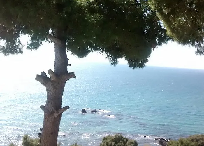 Vicky's Panoramic View *